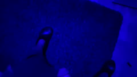 hornystroker21 online show from October 2025 02:01:02 AM