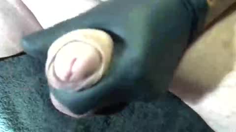 Snapshot of horse_dick9 chatting on September 2025 11:43:01 AM horse_dick9 online show from September 2025 11:43:01 AM