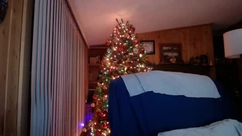 horsebigballs online show from January 2025 05:15:02 AM