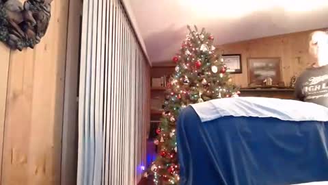 horsebigballs online show from January 2025 12:36:01 AM