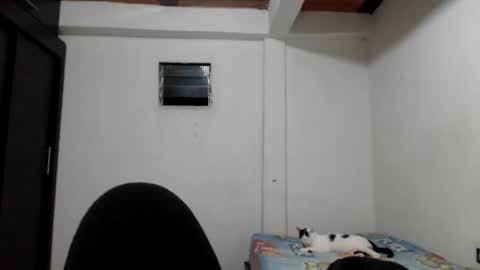 Snapshot of hot_angels___ chatting on November 2025 05:40:01 AM angels online show from November 2025 05:40:01 AM