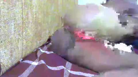 Snapshot of hot_ebony11 chatting on February 2025 07:05:02 PM chooo pie online show from February 2025 07:05:02 PM