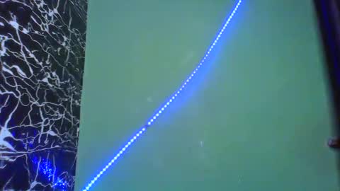 Stella online show from February 2025 08:52:02 AM