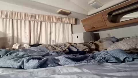 HotAmyMike online show from November 2025 02:39:01 PM