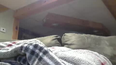 Hot and Horny online show from May 2026 08:46:02 PM