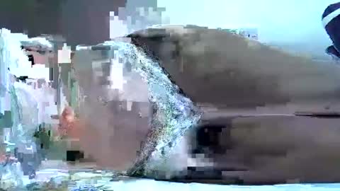 hotberry_7 online show from April 2026 08:37:01 AM