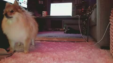 Snapshot of hotgirlbigbutt chatting on January 2026 11:15:02 AM hotgirlbigbutt online show from January 2026 11:15:02 AM