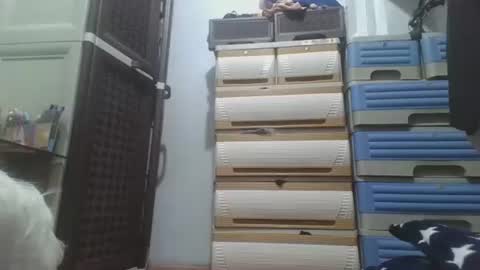 hotlavender online show from December 2025 02:28:02 AM