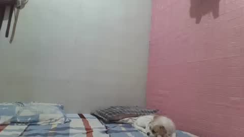 hotlavender online show from May 2026 04:40:02 AM
