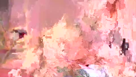 Vea online show from May 2026 01:08:02 PM