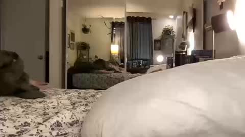 Snapshot of hotmama6666 chatting on October 2025 12:00:01 AM Annabelle online show from October 2025 12:00:01 AM