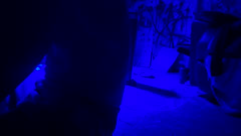 Snapshot of howbowdadareboy33 chatting on April 2026 01:42:02 AM ask me online show from April 2026 01:42:02 AM
