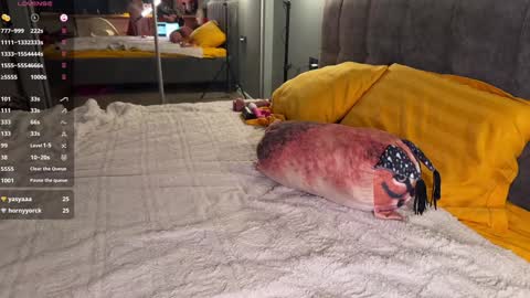 Elizabeth online show from December 2024 04:33:02 AM