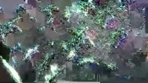 hp58649blabla online show from September 2025 01:07:02 AM