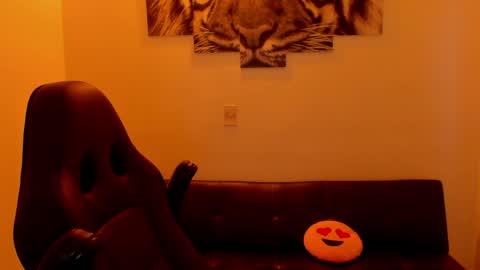 Eli online show from March 2026 12:17:02 PM