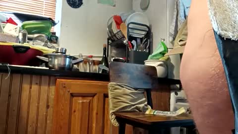 humiliationbucket online show from March 2026 11:49:01 AM