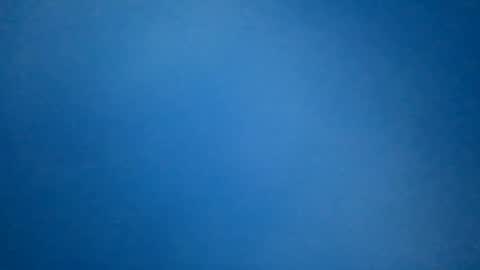 Snapshot of hummelbummel00 chatting on February 2026 07:19:02 PM hummelbummel00 online show from February 2026 07:19:02 PM