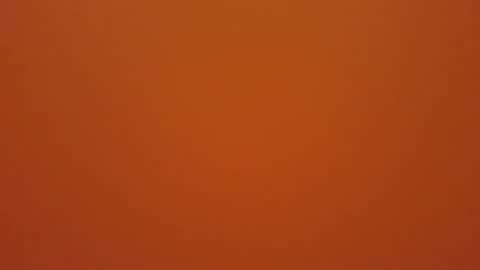 hundeleine online show from December 2025 11:28:02 AM