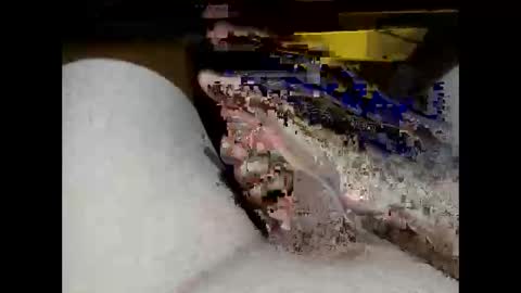 Snapshot of hung_mac0 chatting on February 2026 02:13:02 PM hung_mac0 online show from February 2026 02:13:02 PM