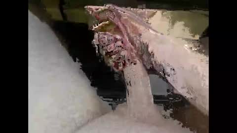 hung_mac0 online show from April 2026 05:02:02 PM