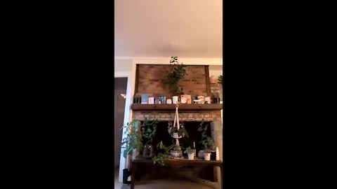 hungitalian40 online show from January 2026 01:26:02 PM