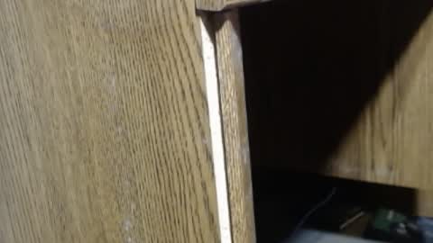 hungsofine online show from December 2024 04:06:01 PM