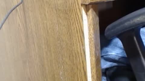 hungsofine online show from December 2024 09:40:02 PM