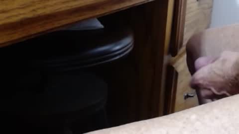 hungsofine online show from January 2026 07:30:01 PM