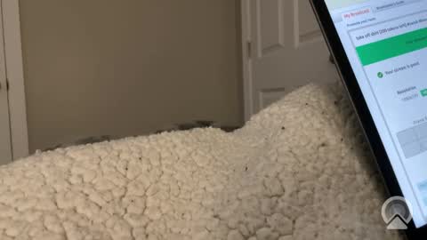 hungtwinkcock1 online show from March 2026 12:41:01 PM