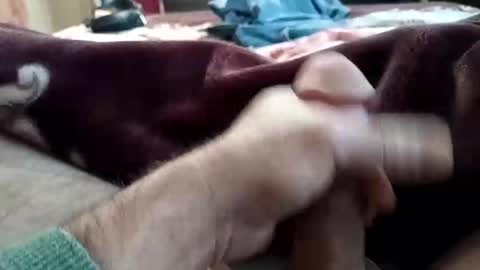 Snapshot of husky1511 chatting on November 2025 09:20:01 AM husky1511 online show from November 2025 09:20:01 AM