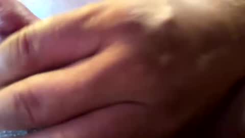 hvalbrecht online show from January 2025 02:24:02 AM