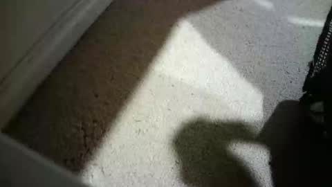 Hypeman online show from May 2026 01:22:02 AM