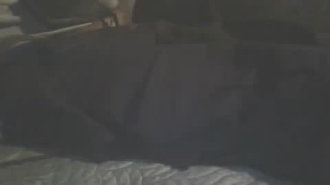 TeamCheamCreems online show from April 2026 10:34:01 AM