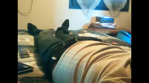 iagreeto online show from February 2025 01:30:01 PM