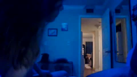 Goat  Lulu  Elektra online show from February 2025 08:10:01 AM