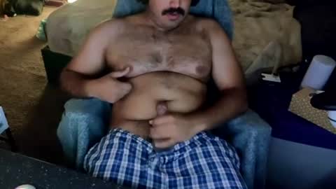 Snapshot of ibear_chat chatting on July 2026 04:42:01 AM iBear0 online show from July 2026 04:42:01 AM