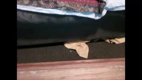 idkwhyidothis348732 online show from January 2025 06:02:02 PM