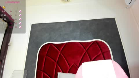 illegal_lorry online show from January 2025 10:53:02 AM