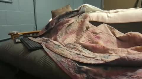 Ryan online show from October 2025 03:33:01 PM