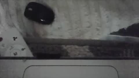 iloveitall86 online show from April 2026 06:10:01 PM