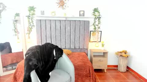 im_tulipan online show from February 2026 07:56:01 PM