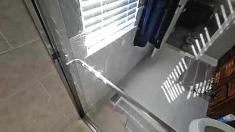 imaguy_ online show from December 2024 03:55:01 PM