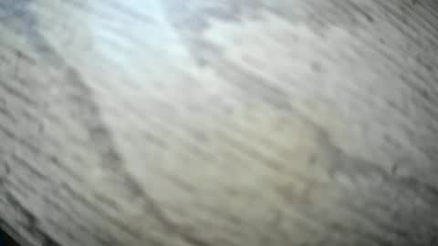 imyobes online show from January 2026 03:49:02 PM