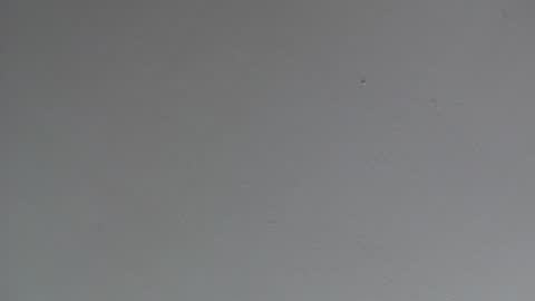 Snapshot of indianajoe69andfriend chatting on January 2025 03:13:01 AM Indiana Joe 69 and Friend online show from January 2025 03:13:01 AM