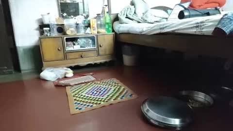 BOREDILDO online show from March 2026 07:09:01 PM