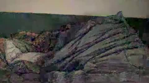 CallmeDADDY online show from May 2026 03:04:02 AM