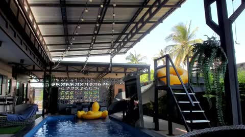 Vicki FANSLY ---   online show from January 2025 08:14:01 AM