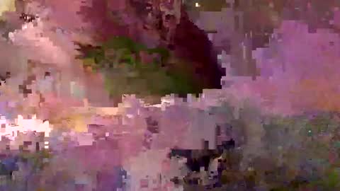 inhertube15 online show from December 2024 10:03:02 AM