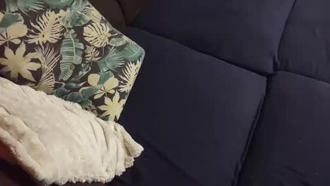 Marek online show from December 2024 04:06:01 PM