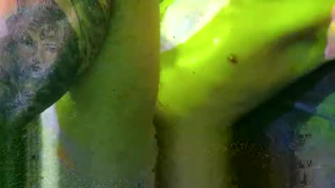 Marek online show from March 2025 06:08:02 PM